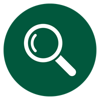 Search Icon